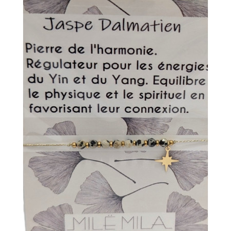 Bracelet Jaspe Dalmatien acier 