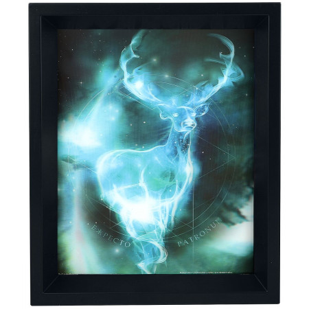Cadre Harry Potter Patronus 3D