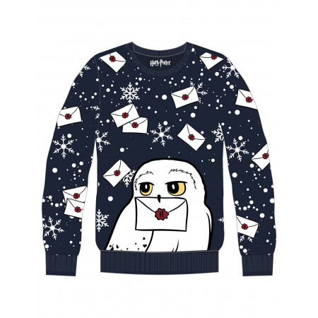 Pull de Noël enfant Harry Potter Hedwige bleu